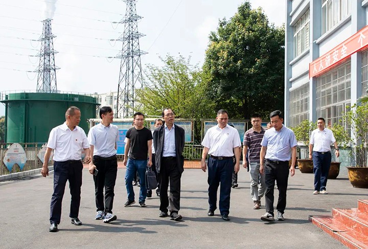 【聚焦918博天堂·(中国区)官方网站】云南省能源局局长卢文祥到镇雄煤业公司调研