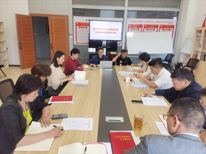 【主题教育】集团直属党委审计财务党支部、解化清洁能源公司党委、可保煤矿公司党委召开主题教育专题民主（组织）生活会