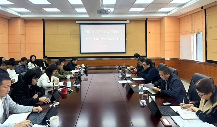 凝聚改革共识 激扬奋进力量——918博天堂·(中国区)官方网站矿业开展学习贯彻党的二十届三中全会精神宣讲